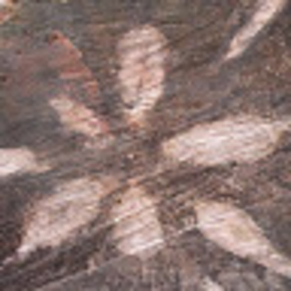 Meet your Posher, Jennifer - Picture 1 of 1